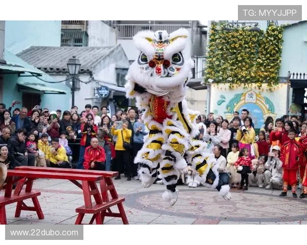 探索澳门彩网子的魅力与玩法，尽享博彩乐趣